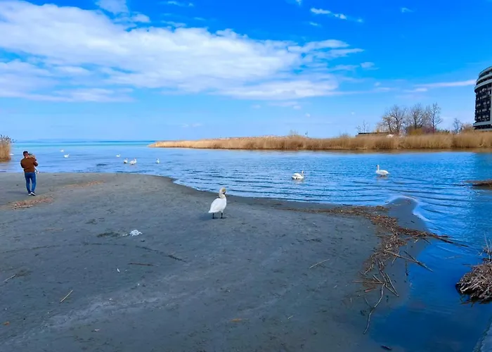 Relax Apartman Siofok-Sosto