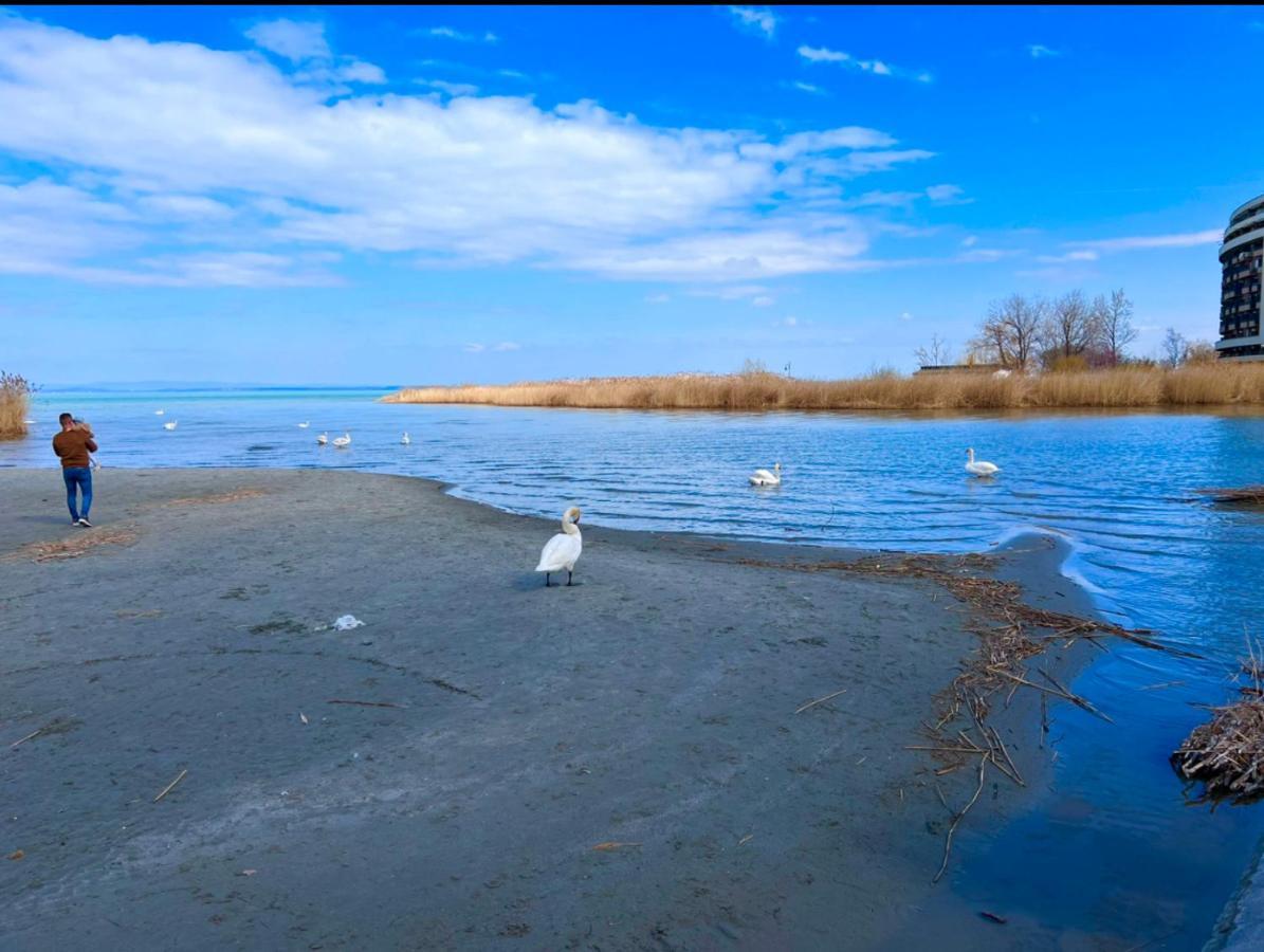 Relax Siofok-sosto Siofok